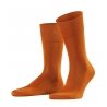Носки FALKE Tiago Short sock 14662 - 29