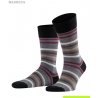 Носки мужские FALKE 13279 Tinted StripeSO - 4