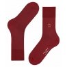 Носки мужские Falke новогодние 13088 Airport Gingerbread Man SO (Winter 21/22) - 6